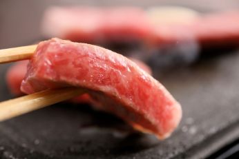 料理写真