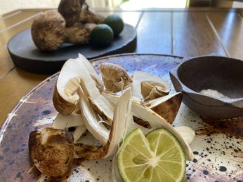 料理写真