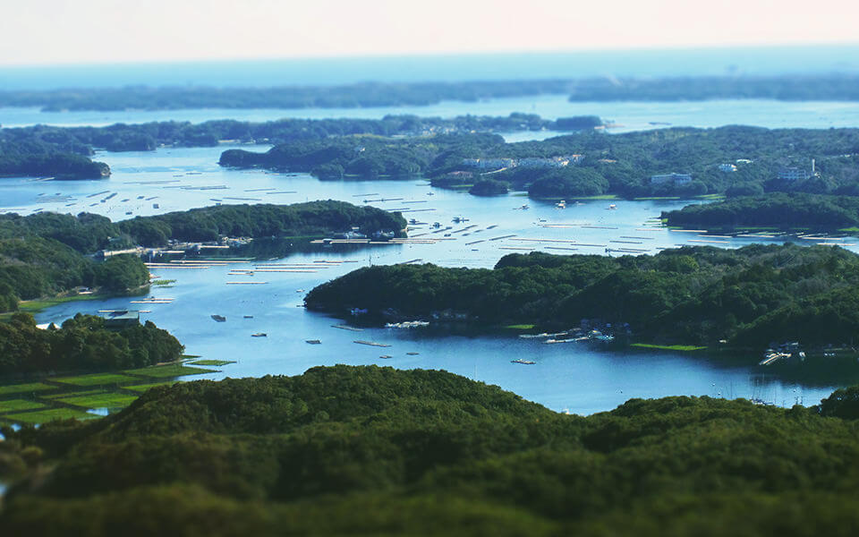 Yokoyama Observation Platform